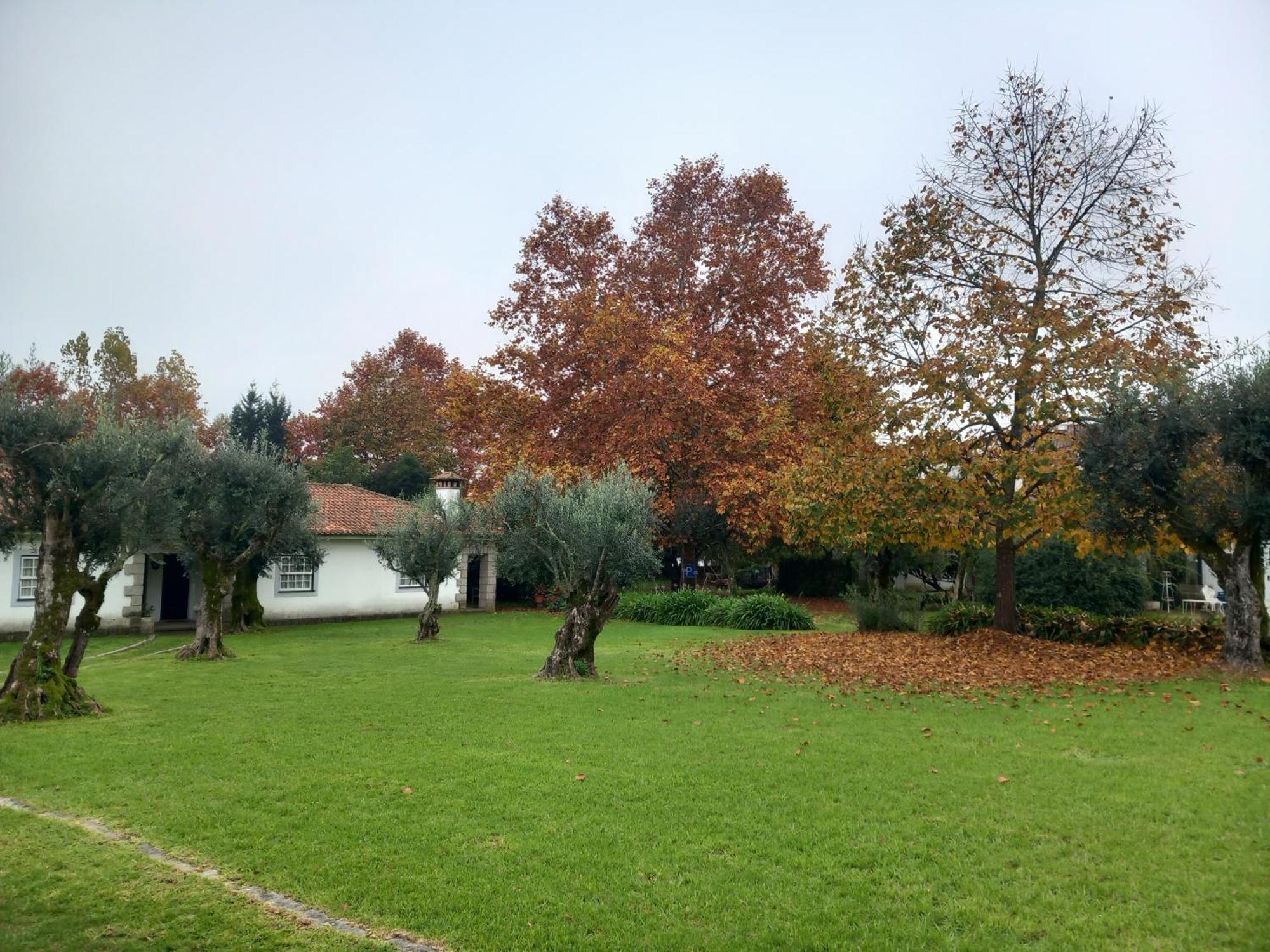 Casas Do Zagao - Turismo Rural Carregal do Sal Kültér fotó