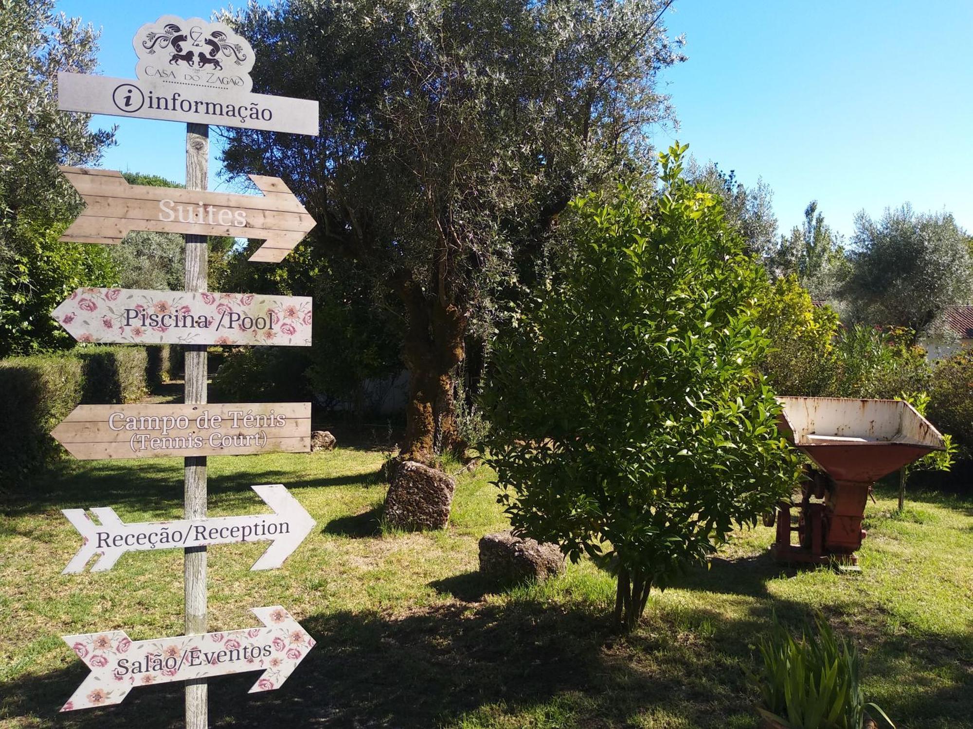 Casas Do Zagao - Turismo Rural Carregal do Sal Kültér fotó