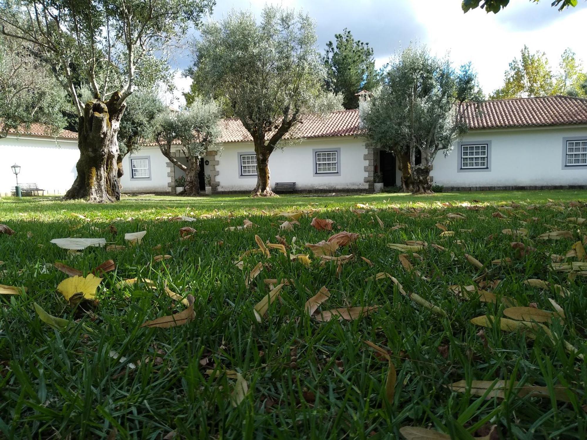 Casas Do Zagao - Turismo Rural Carregal do Sal Kültér fotó